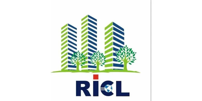 Analysing the Financial Performance of Royal India Corporation Ltd